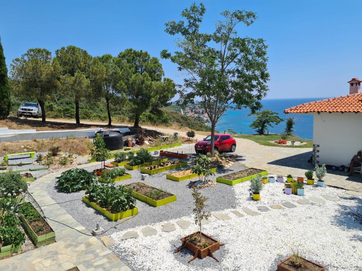 Greco Paradise Suites - Adult Only Nea Skioni Dış mekan fotoğraf