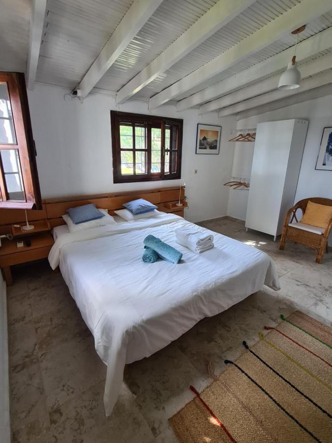 Greco Paradise Suites - Adult Only Nea Skioni Dış mekan fotoğraf