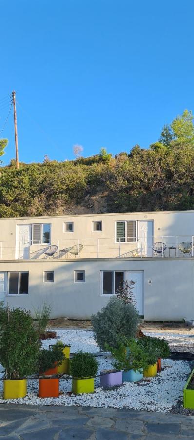 Greco Paradise Suites - Adult Only Nea Skioni Dış mekan fotoğraf