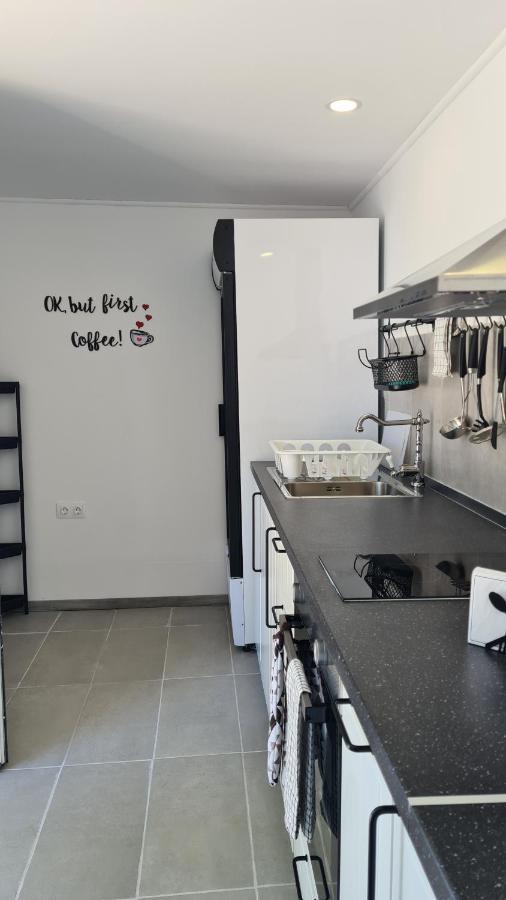 Greco Paradise Suites - Adult Only Nea Skioni Dış mekan fotoğraf